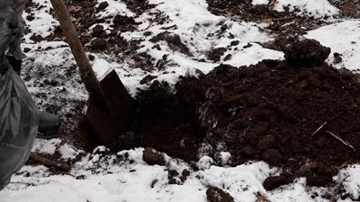 {Создают новый парк}