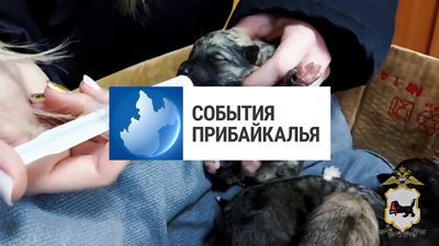 {События Прибайкалья от 13 февраля 2025 года}