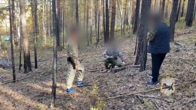 {Незаконно рубили лес}