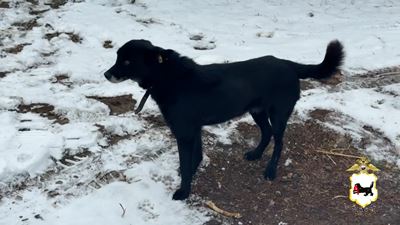 {Проверили детей и их родителей}