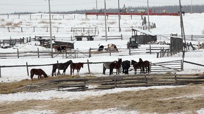 {Мониторят болезни животных}