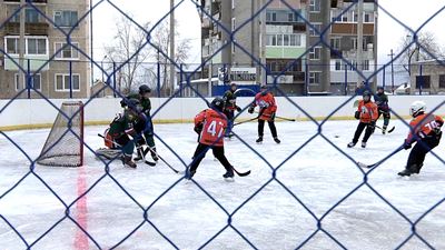 {Турнир по хоккею с шайбой}