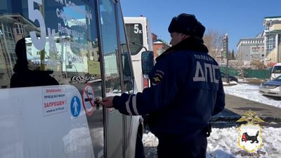 {Проверяют водителей и пешеходов}