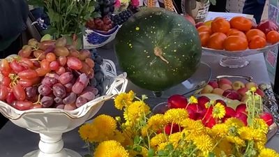 {«Праздник урожая»}