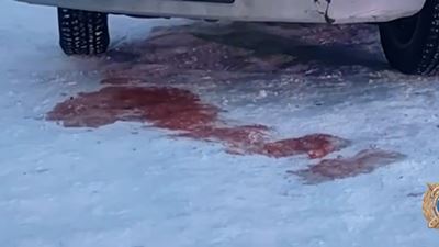 {Сбила пожилого пешехода}