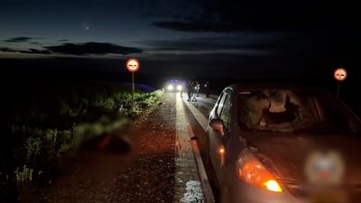 {Сбил пожилого пешехода }