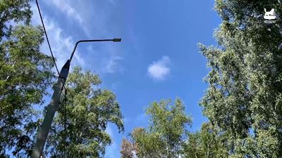 {Обустраивают сквер }