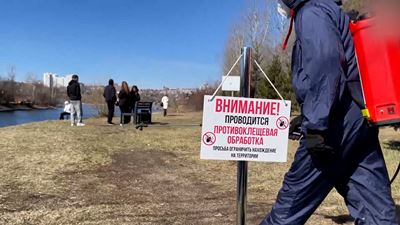 {Началась обработка от клещей}