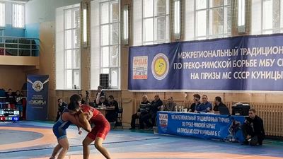 {Провели памятный турнир по борьбе}