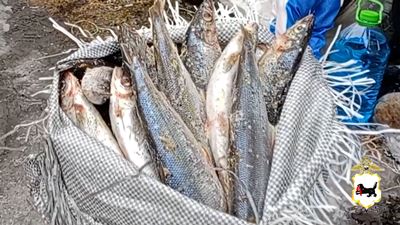 {Нанес ущерб на 10 миллионов рублей}