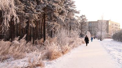 {Высокий уровень заболеваемости }