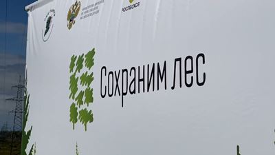 {Экологическая акция }