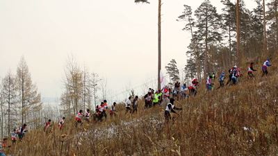 {Выявили «царя горы» }