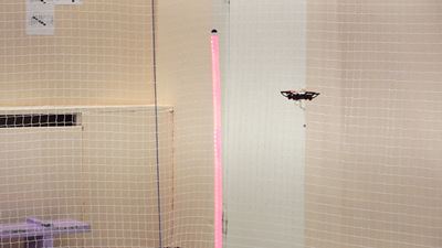 {Гонки на беспилотниках }