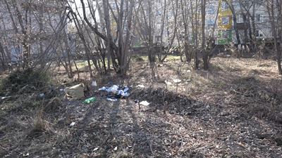 {Проблема с мусором}