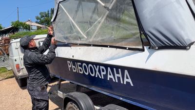 {«День без сетей» }