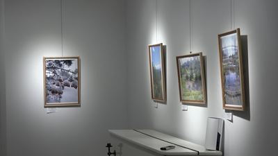 {Выставка фотографий природы}