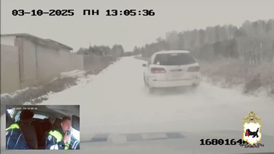 {Устроили погоню}