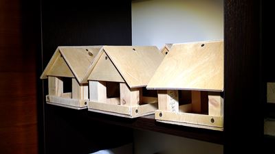 {Мастер-классы для детей}