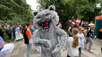 {Провели фестиваль}