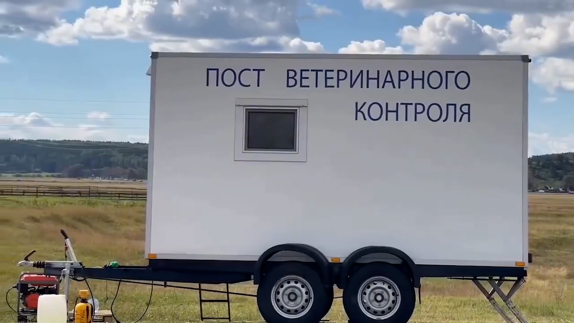 {Почти 100 заболевших животных }