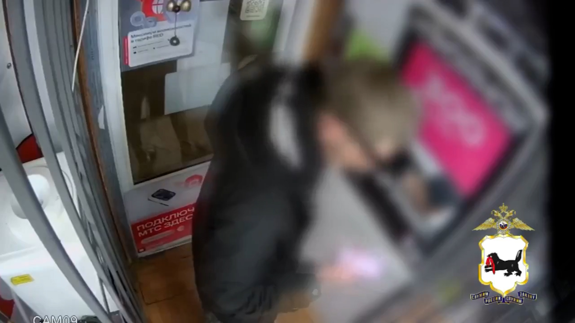 {Задержали грабителя}