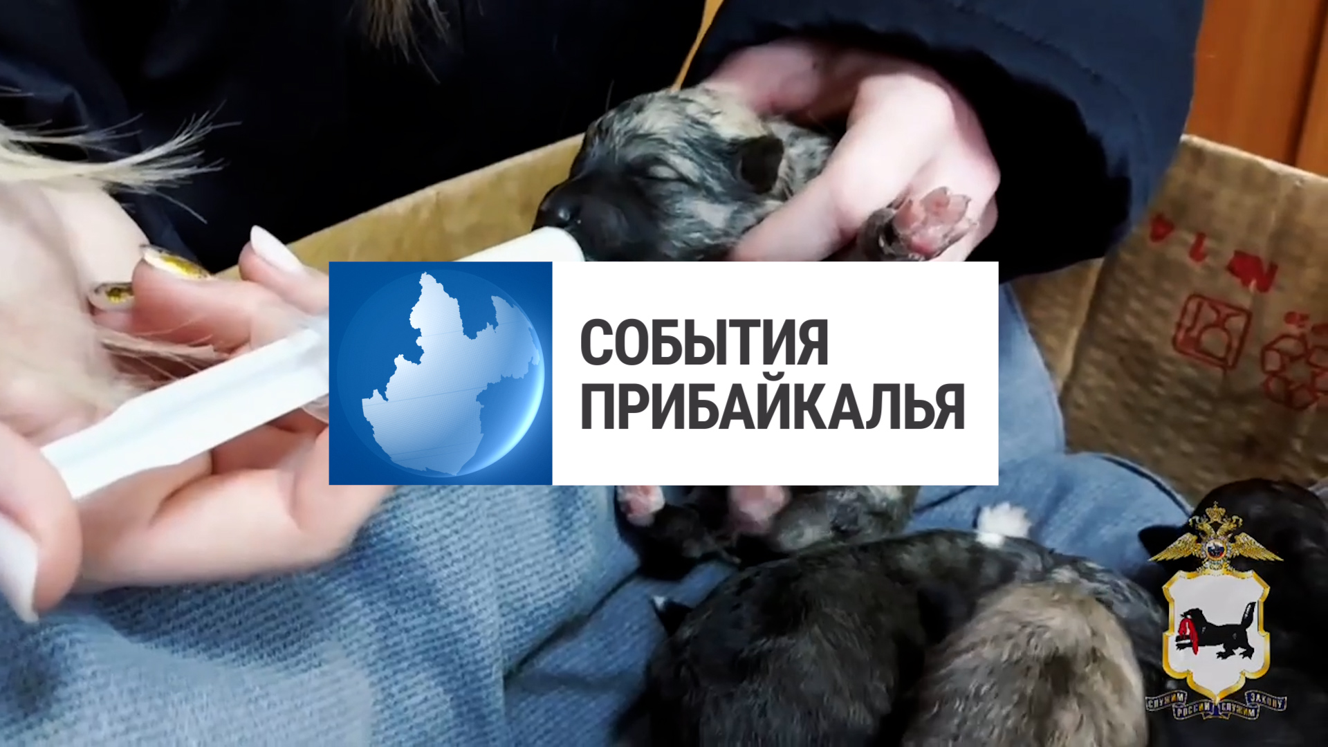 {События Прибайкалья от 13 февраля 2025 года}