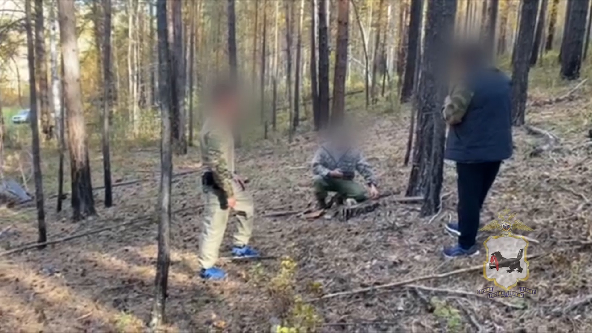 {Незаконно рубили лес}