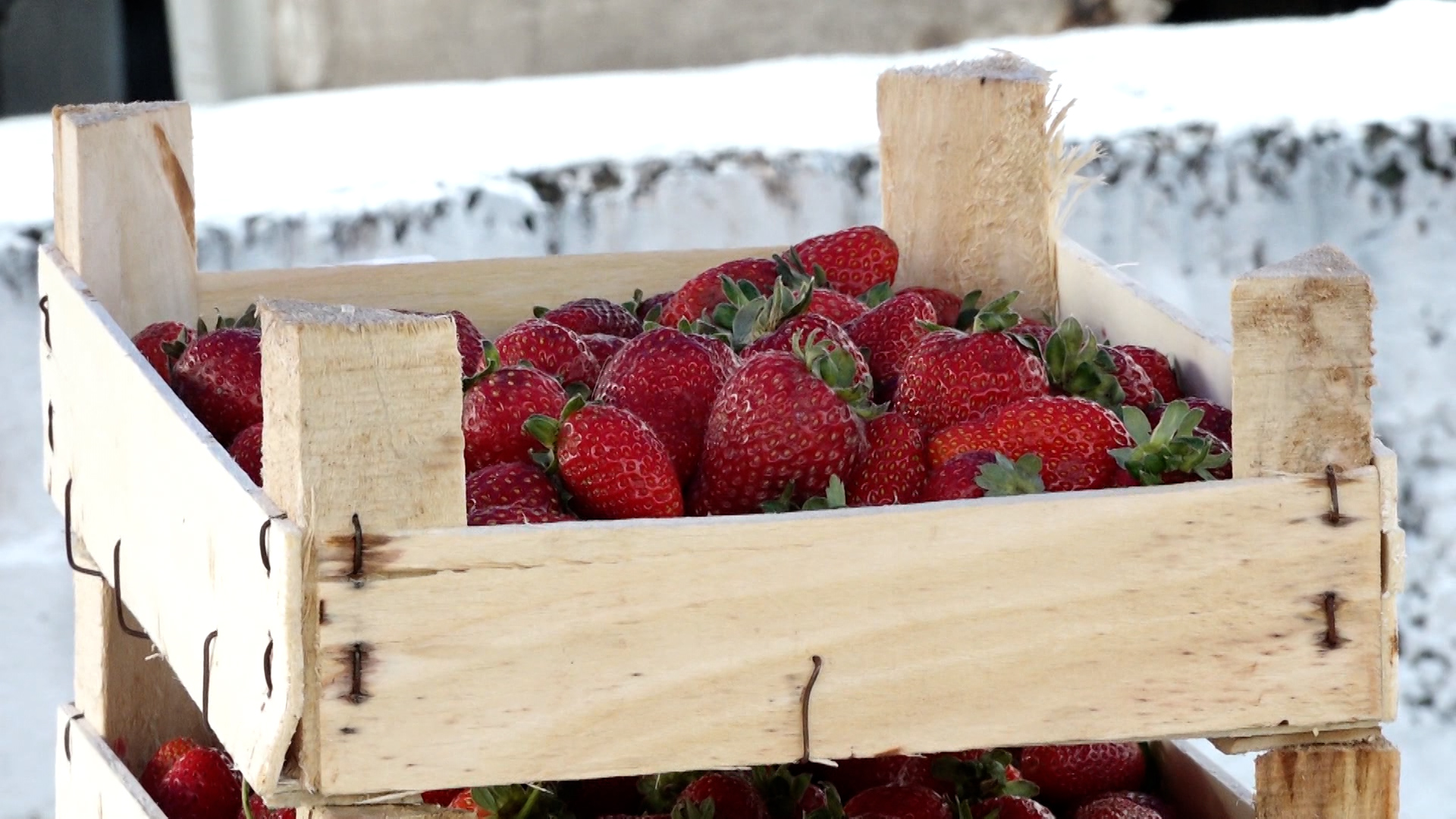 {Провели ярмарку сельхозтоваров}