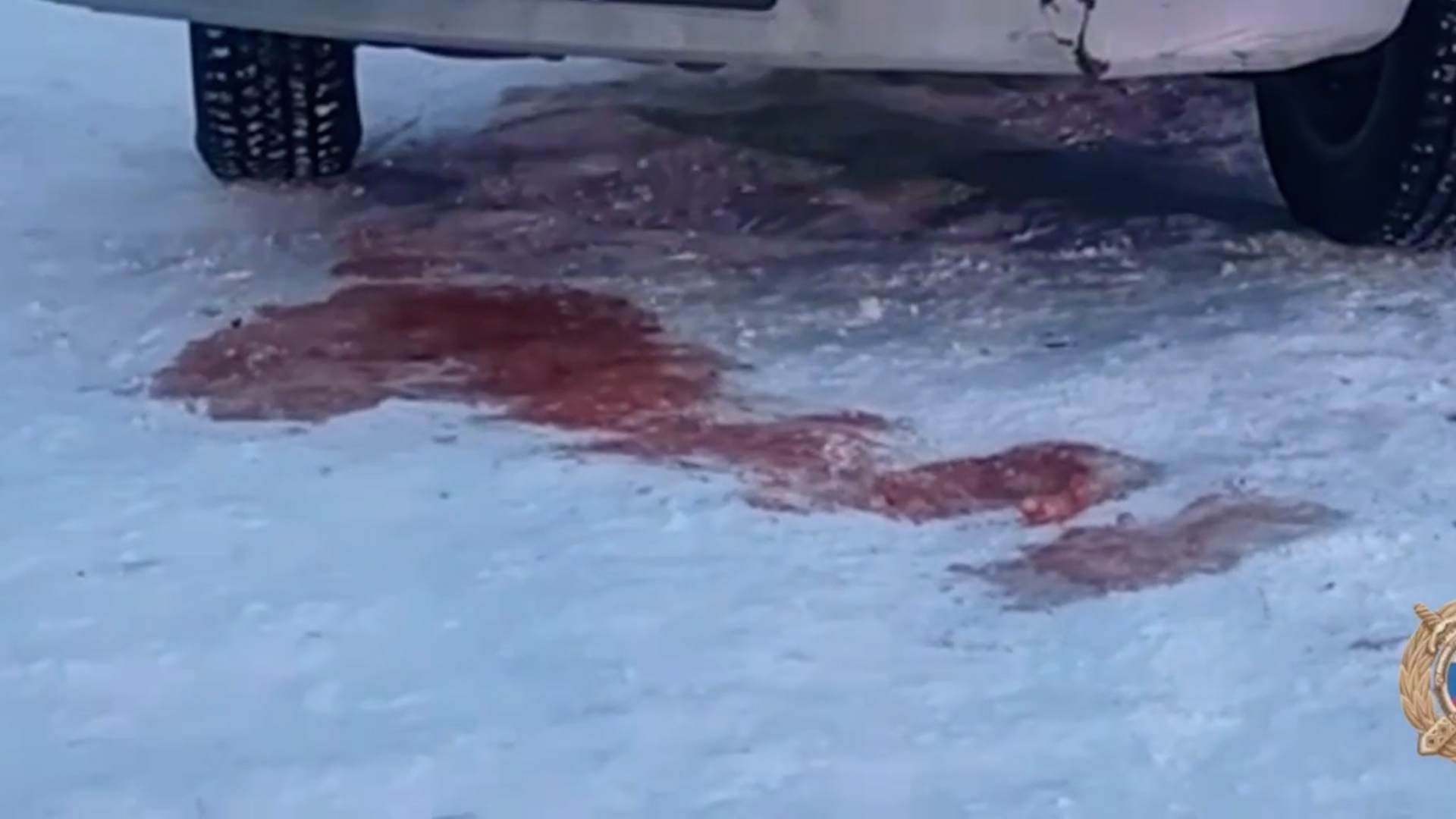 {Сбила пожилого пешехода}