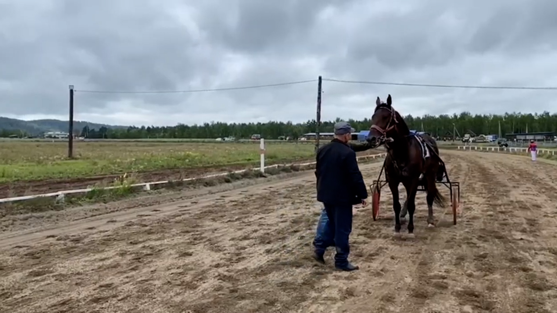 {Провели конные скачки}