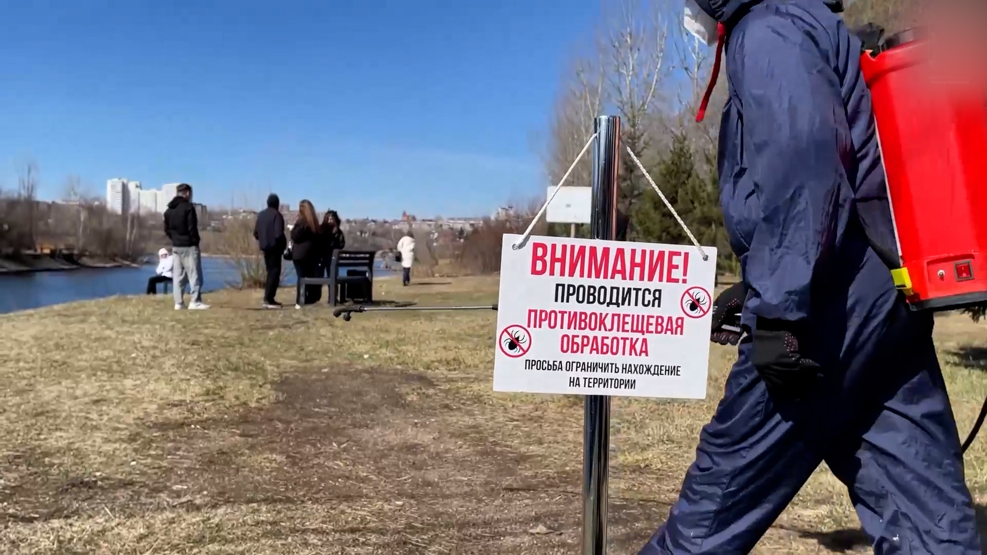 {Началась обработка от клещей}