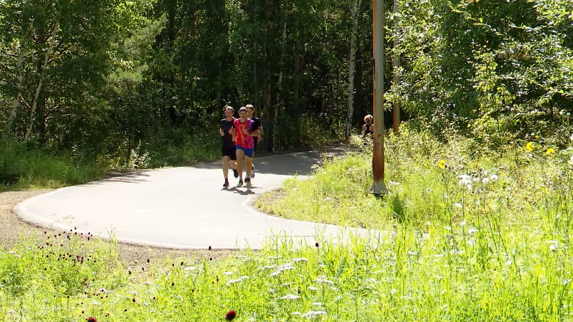 {Провели забег }