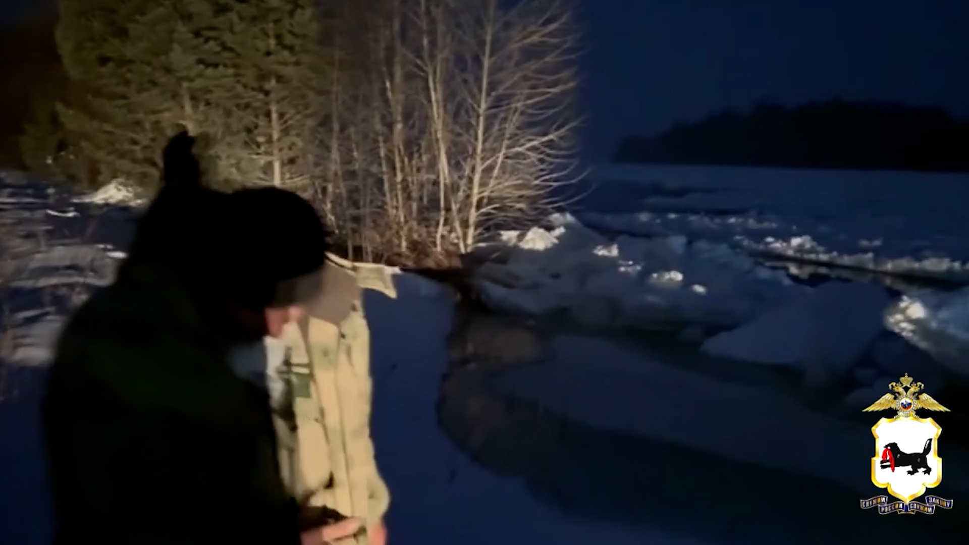 {Помогли выбраться на сушу}