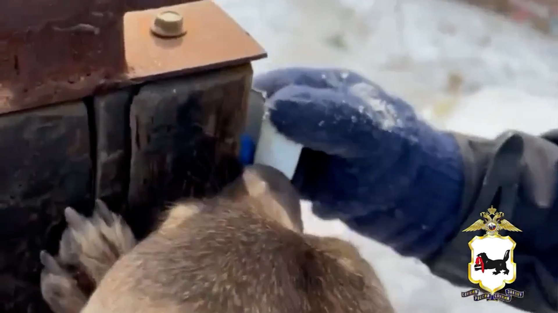 {Распространял наркотики }