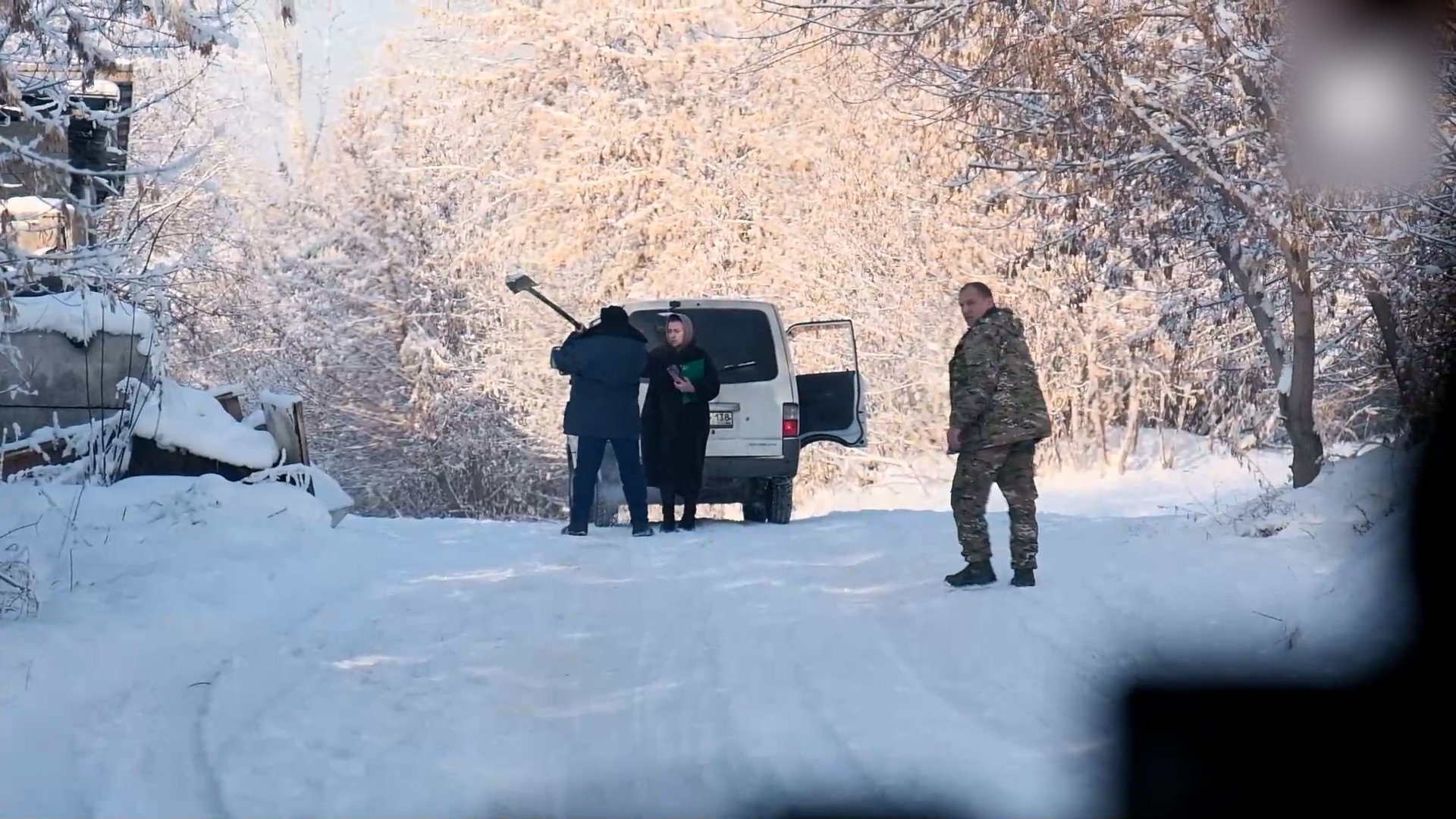 {Мешают отлову собак}