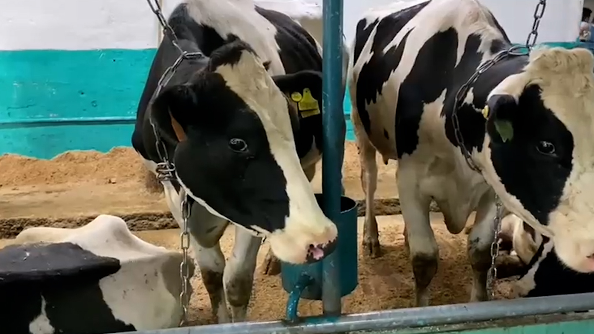 {Ввели режим ЧС }
