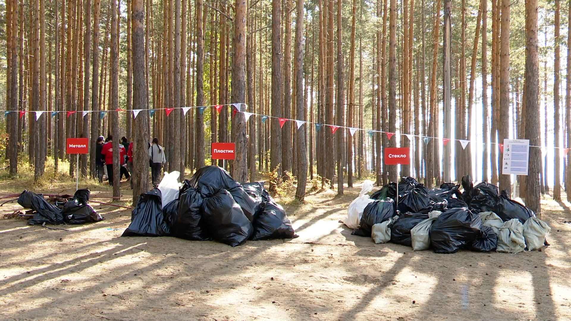 {Установили рекорд по уборке мусора}