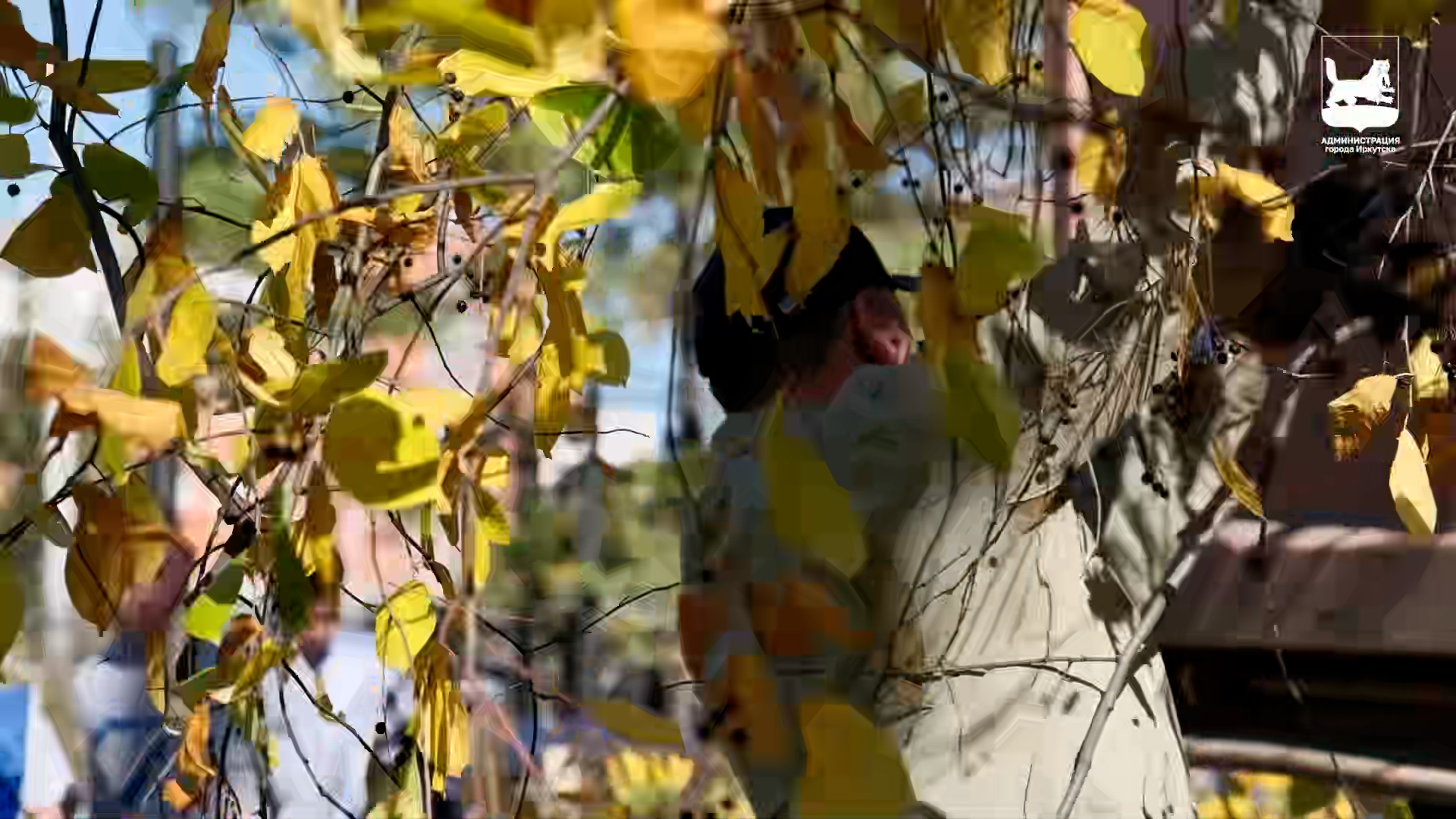 {Провели городской субботник}