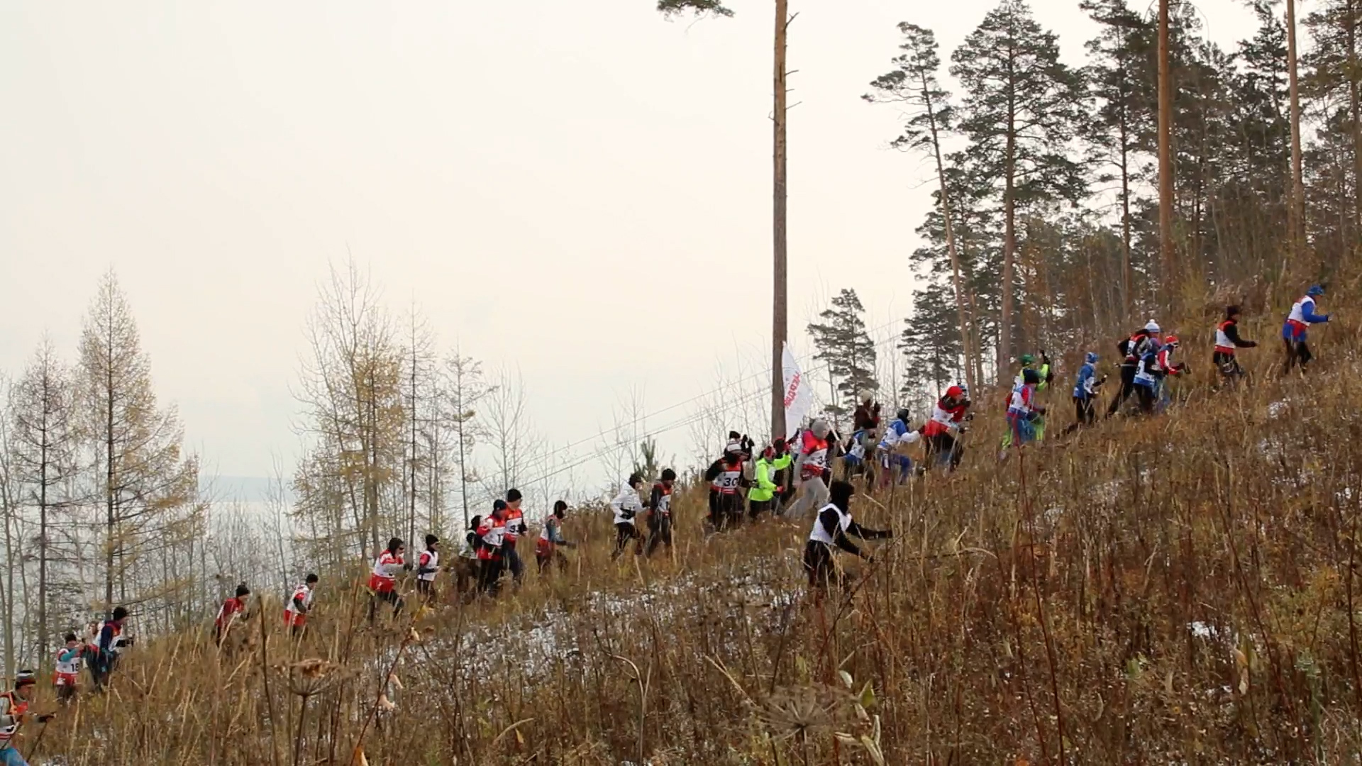 {Выявили «царя горы» }