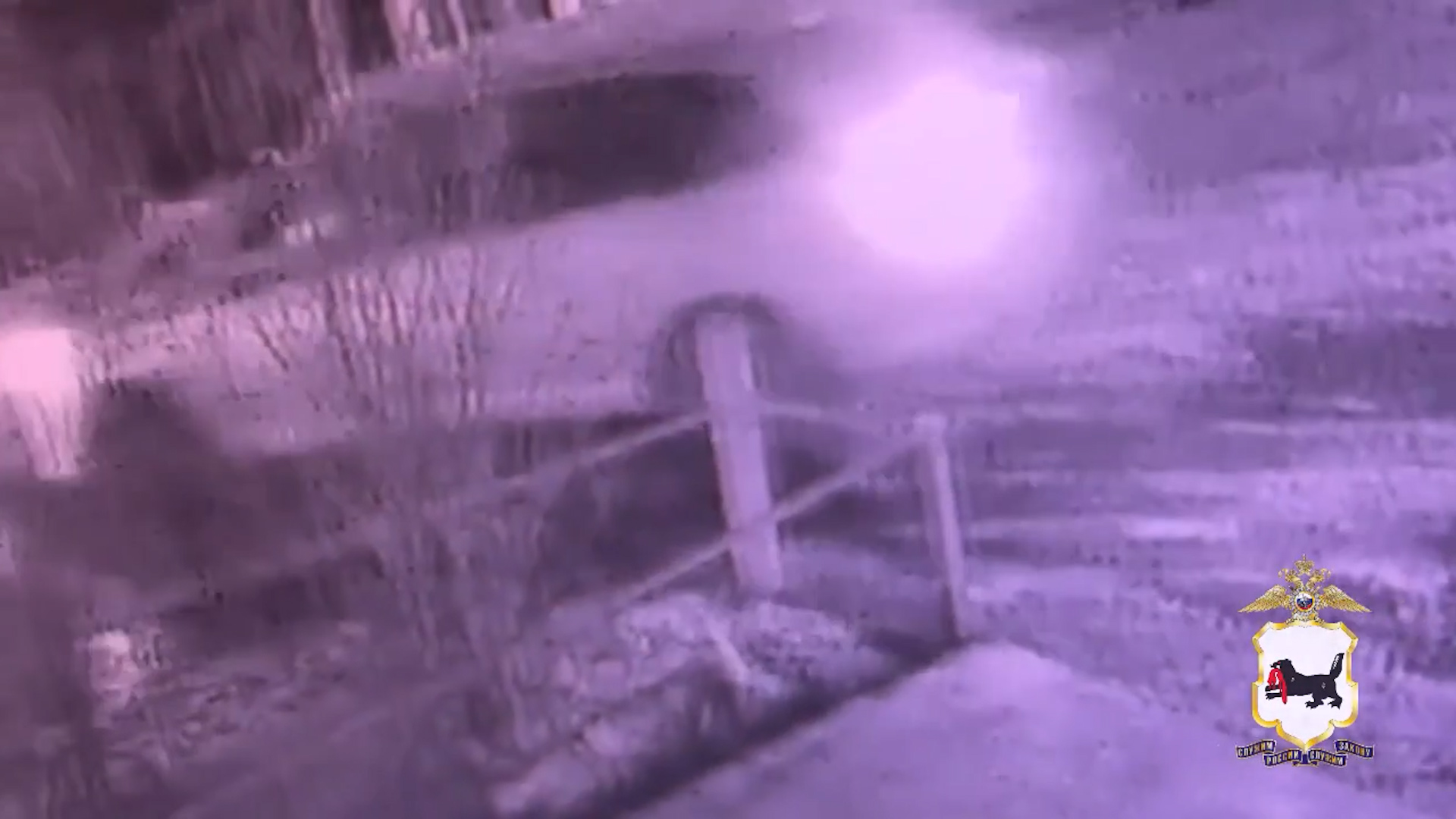 {Задержали за убийство соседки}