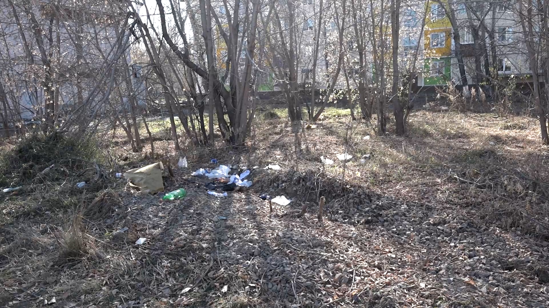 {Проблема с мусором}