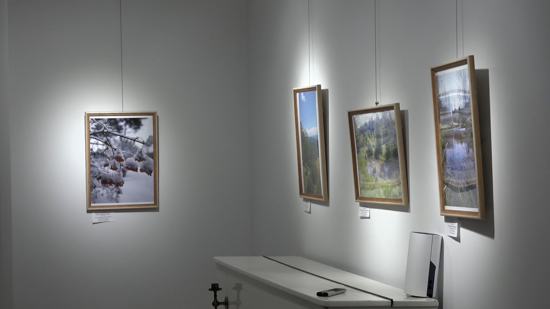 {Выставка фотографий природы}