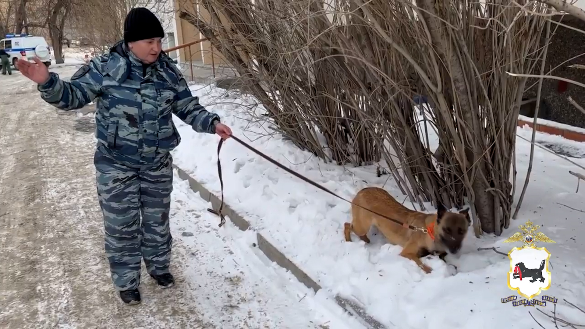 {Хотел сбывать наркотики}