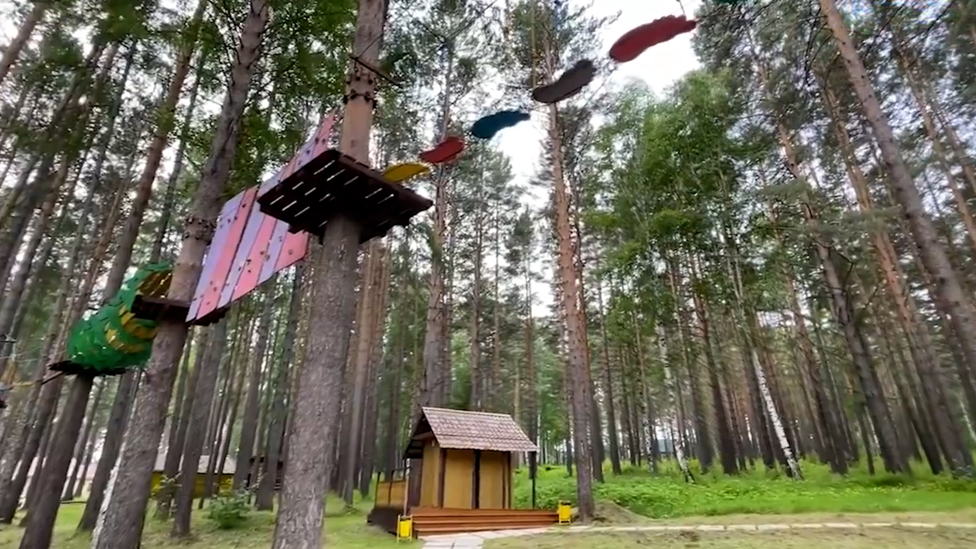 {Организуют детский отдых}